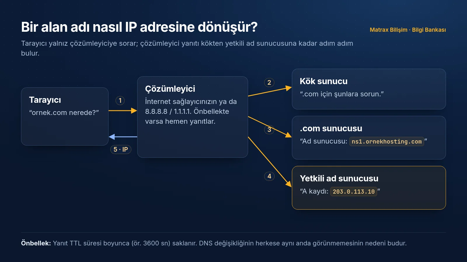 Çözümleyici, kök sunucu ve .com sunucusu üzerinden yetkili ad sunucusuna ulaşır; aldığı IP cevabını TTL süresi boyunca önbellekte saklar